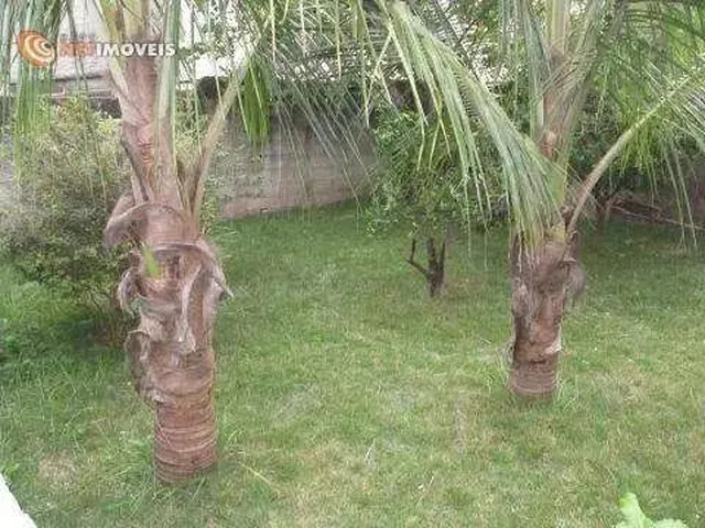 Imagem 15: Casa de 3 Quartos + Barracão em Lote de 360M²; no Eldorado, Contagem