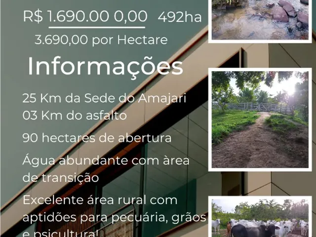 Imagem: Terreno À Venda de 492Ha - Amajari