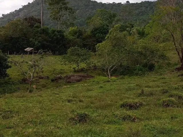 Imagem 3: Terreno À Venda de 492Ha - Amajari