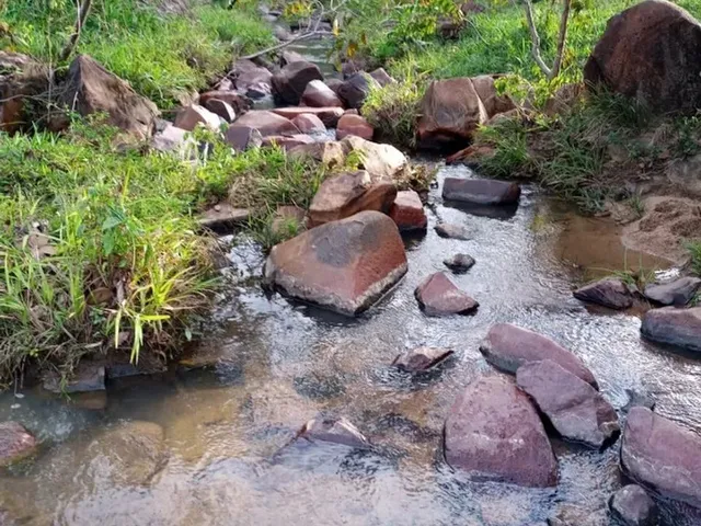 Imagem 8: Terreno À Venda de 492Ha - Amajari