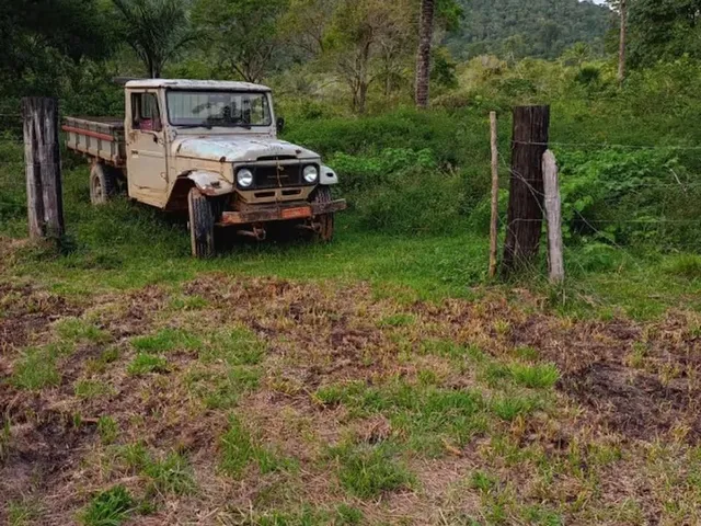 Imagem 5: Terreno À Venda de 492Ha - Amajari