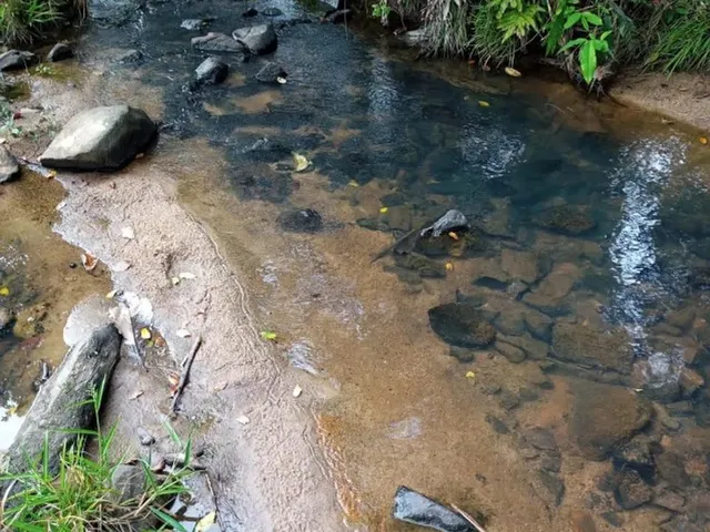 Imagem 7: Terreno À Venda de 492Ha - Amajari
