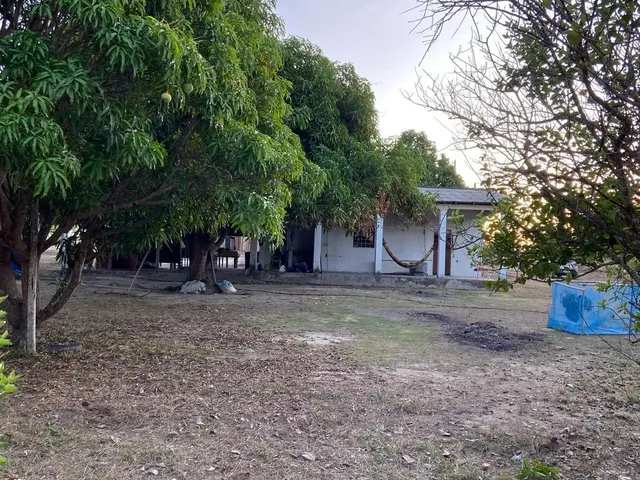 Imagem 7: Vendo, Troco e Negocio Sítio no Bom Intento