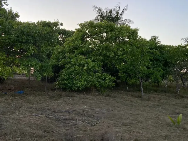 Imagem 10: Vendo, Troco e Negocio Sítio no Bom Intento
