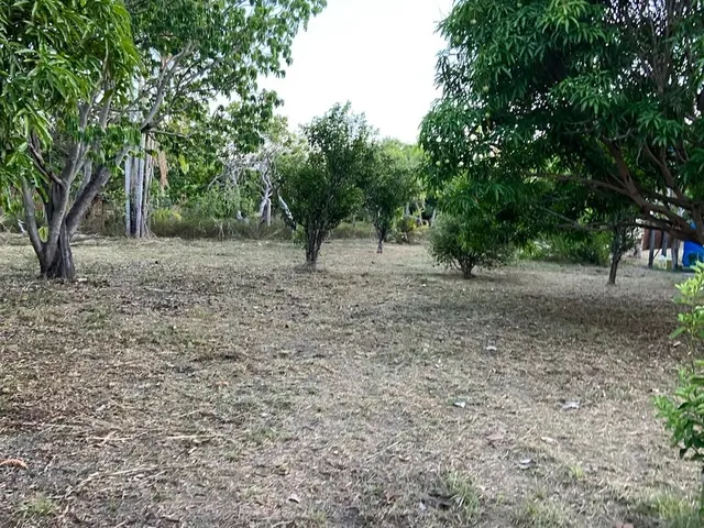 Imagem 13: Vendo, Troco e Negocio Sítio no Bom Intento