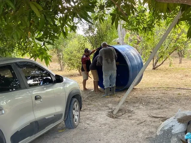 Imagem 14: Vendo, Troco e Negocio Sítio no Bom Intento