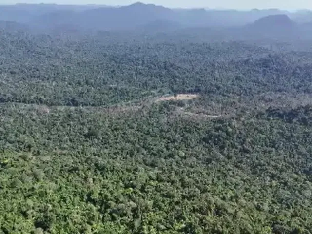 Imagem: Fazenda