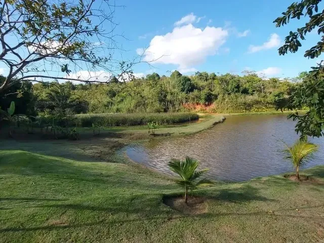 Imagem 12: Imóvel de Luxo no Alphaville Pernambuco 1 com Estilo
