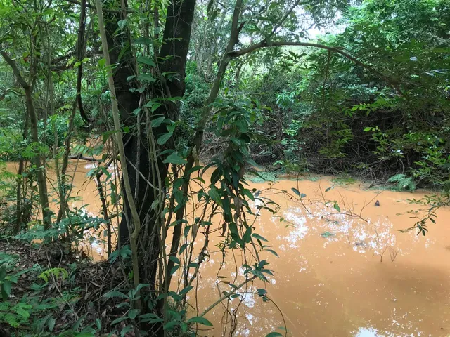 Imagem 2: Chácara Próxima a Barragem da Copasa