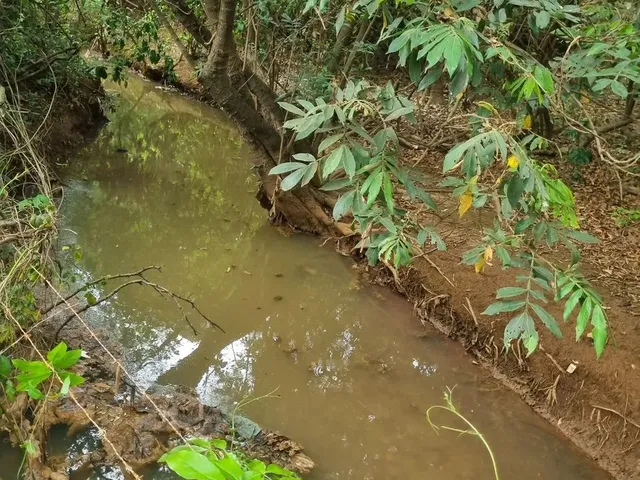 Imagem 5: Chácara 2.660 Metros Valor 430.000