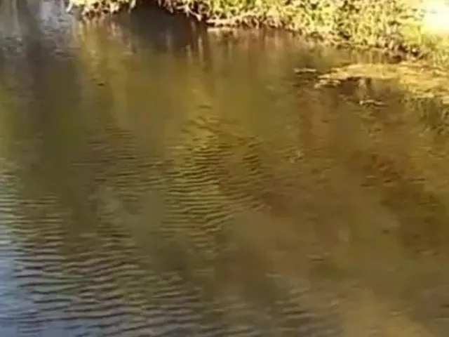Imagem 1: Aceita Caminhonete Ou Lote Como Parte de Pagamento...sitio Próximo Claro dos Poçoes.