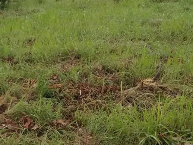 Imagem 2: Aceita Caminhonete Ou Lote Como Parte de Pagamento...sitio Próximo Claro dos Poçoes.