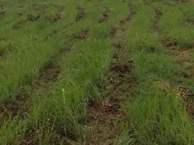 Imagem 3: Aceita Caminhonete Ou Lote Como Parte de Pagamento...sitio Próximo Claro dos Poçoes.