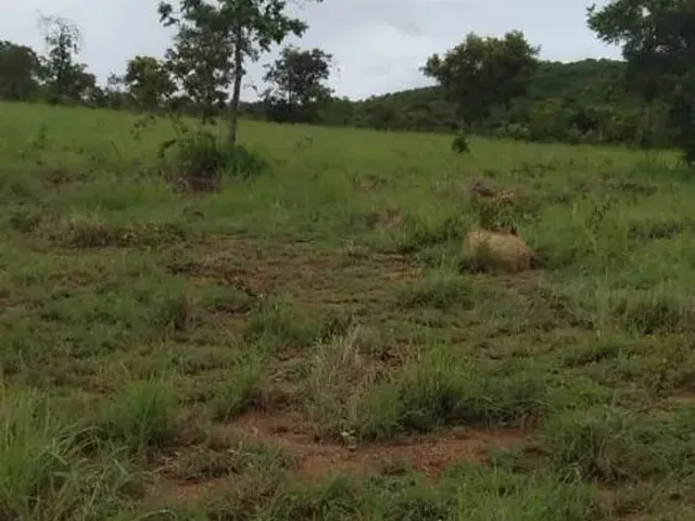 Imagem 6: Aceita Caminhonete Ou Lote Como Parte de Pagamento...sitio Próximo Claro dos Poçoes.