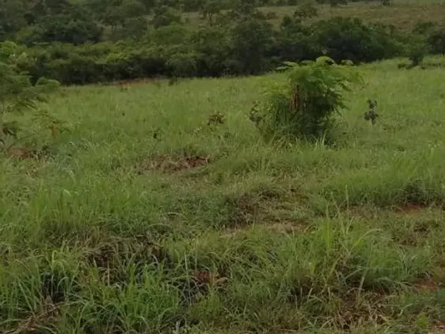 Imagem 7: Aceita Caminhonete Ou Lote Como Parte de Pagamento...sitio Próximo Claro dos Poçoes.