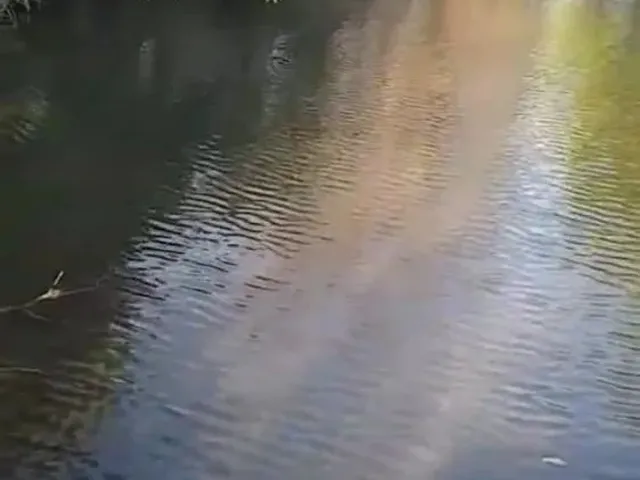 Imagem 11: Aceita Caminhonete Ou Lote Como Parte de Pagamento...sitio Próximo Claro dos Poçoes.