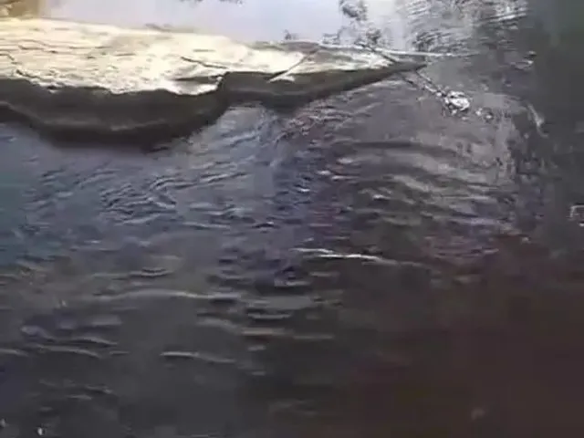 Imagem 12: Aceita Caminhonete Ou Lote Como Parte de Pagamento...sitio Próximo Claro dos Poçoes.