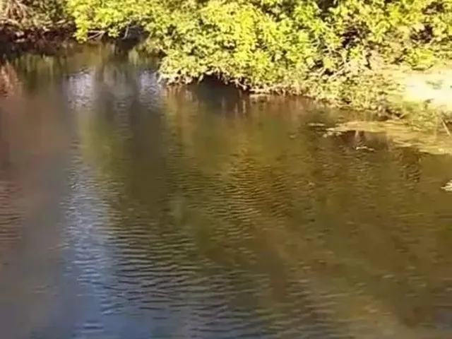 Imagem 13: Aceita Caminhonete Ou Lote Como Parte de Pagamento...sitio Próximo Claro dos Poçoes.