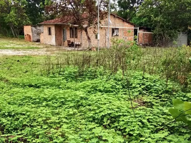 Imagem: Fazenda Jaguar
