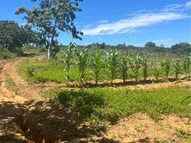 Imagem: Sítio a 30Km de Juramento