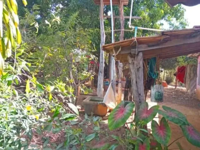 Imagem 11: Sitio 14.5 Hectares a 22 Km de Montes Claros Nova Esperança / Ou Estrada Produção
