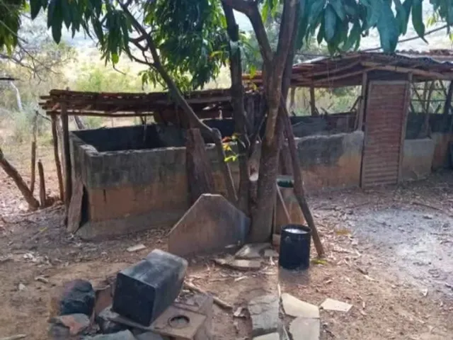 Imagem 9: Sitio 14.5 Hectares a 22 Km de Montes Claros Nova Esperança / Ou Estrada Produção