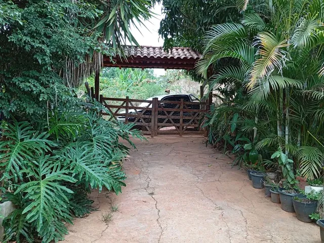 Imagem: Chacara 4.600 M².10 Minutos Major Prates.apenas