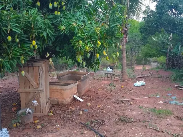 Imagem 3: Vendo Chácara em Campus Elísios