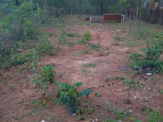 Imagem 4: Vendo Chácara em Campus Elísios