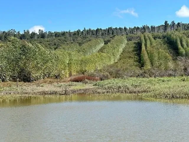 Imagem 4: Fazenda 404 Hectares Próximo a Salinas/Mg