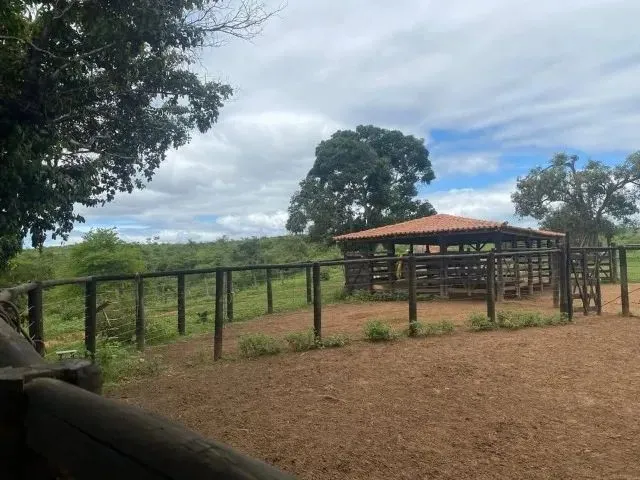 Imagem 11: Fazenda 404 Hectares Próximo a Salinas/Mg