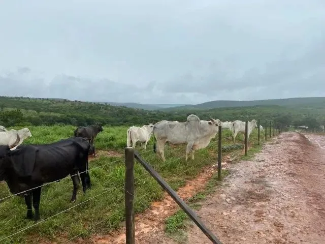 Imagem 10: Fazenda 404 Hectares Próximo a Salinas/Mg