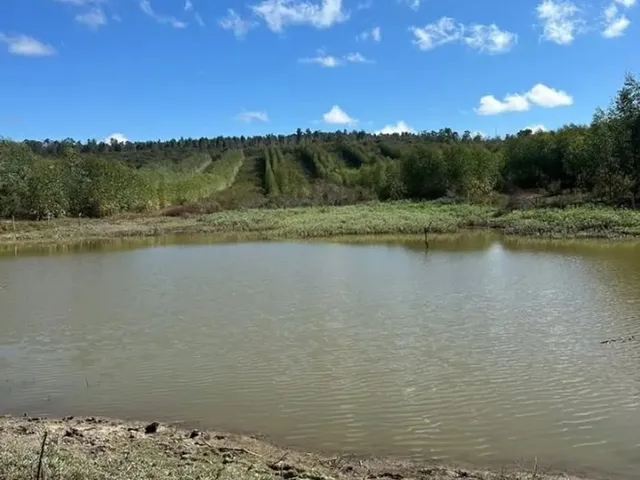 Imagem 15: Fazenda 404 Hectares Próximo a Salinas/Mg