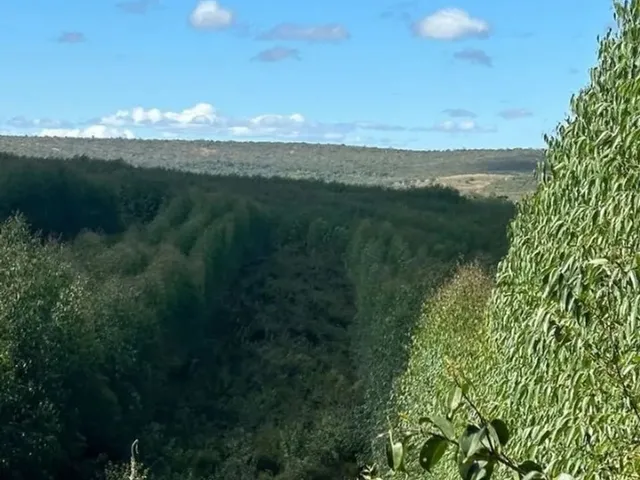 Imagem 9: Fazenda 404 Hectares Próximo a Salinas/Mg