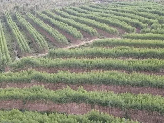 Imagem 2: Fazenda 404 Hectares Próximo a Salinas/Mg