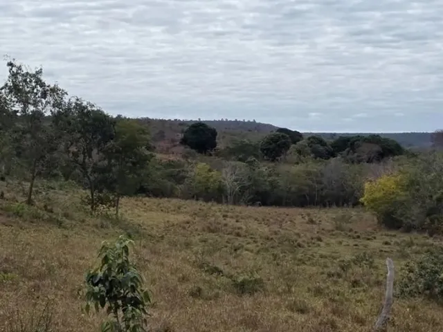 Imagem 12: Fazenda 404 Hectares Próximo a Salinas/Mg