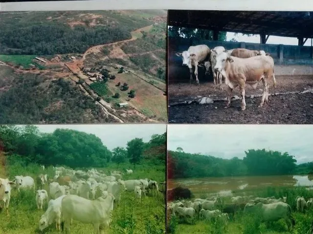 Imagem: Ótima Fazenda À Venda em Salinas, Mg