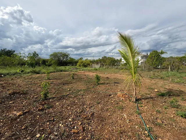 Imagem 10: Lote no Condomínio Estância Real