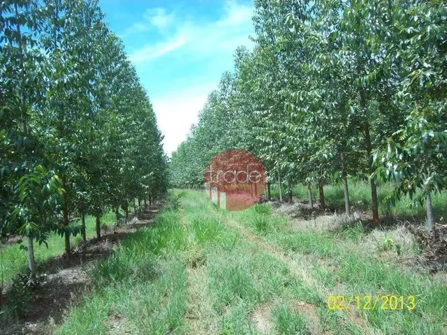 Imagem: Fazenda com 1 Dormitório À Venda, 8820000