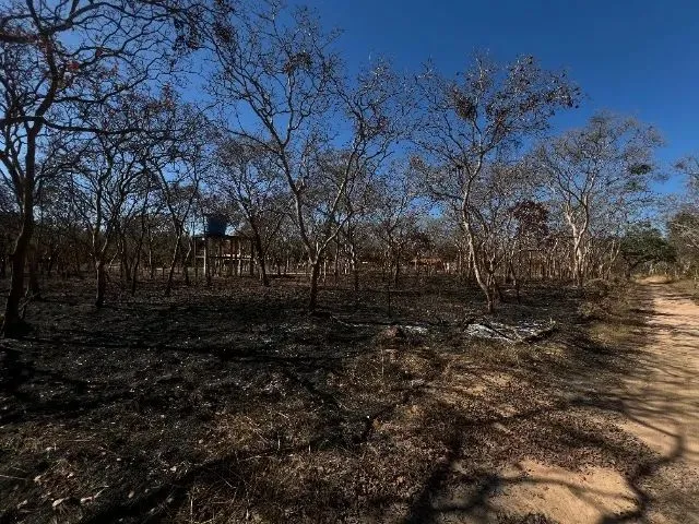 Imagem: Lotes À Partir de 360 Mts a 550 Mts a 200