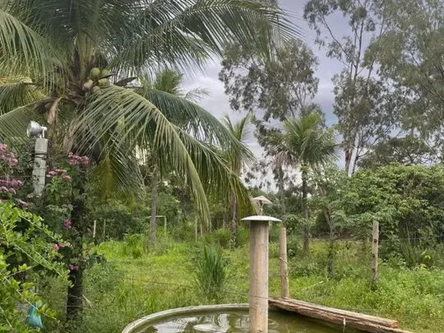 Imagem 7: Chácara 26.800 M²..Permuta Apto ,Chácara Próximo da Cidade..