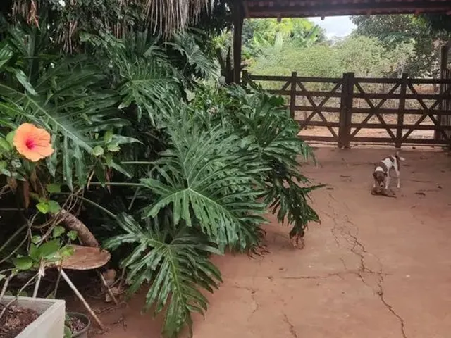 Imagem: Chácara 4.800 M².15 Min Major Prates.permuta