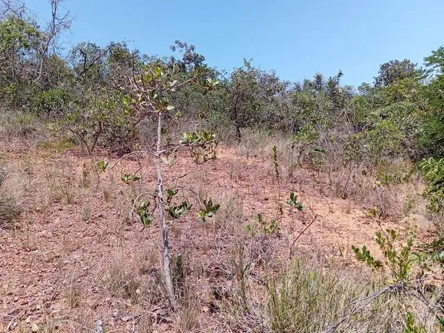 Imagem 4: 30 Min Major Prates.aceita Veículo Até 40.000 e Volta Diferença.