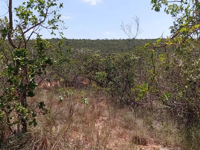 Imagem 5: 30 Min Major Prates.aceita Veículo Até 40.000 e Volta Diferença.
