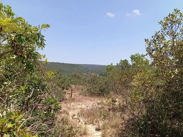 Imagem 8: 30 Min Major Prates.aceita Veículo Até 40.000 e Volta Diferença.
