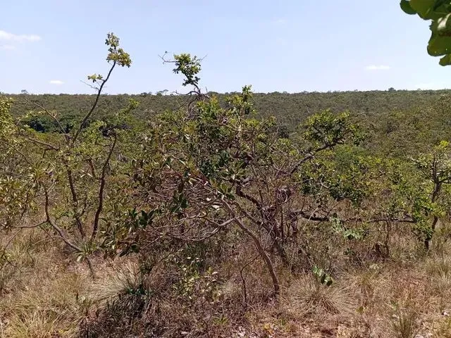 Imagem 7: 30 Min Major Prates.aceita Veículo Até 40.000 e Volta Diferença.