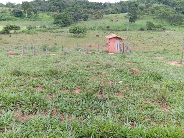 Imagem 15: Sitio 11 Hectares ,Caixa Dagua 50.000 Litros,Irrigação,Poco Proprio,Casa de Lage