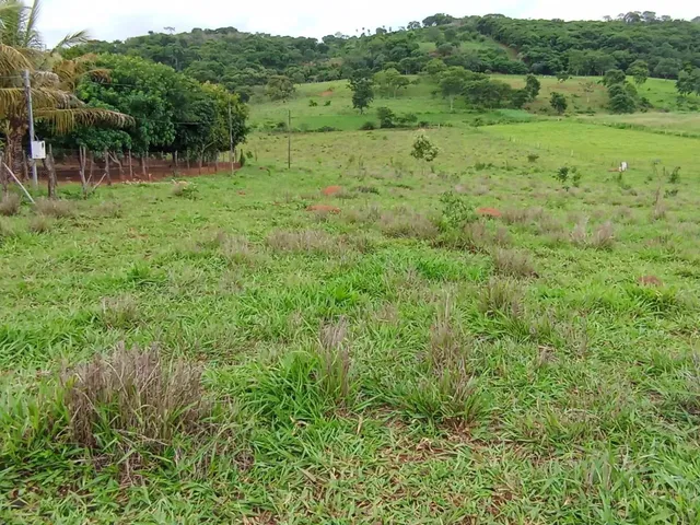 Imagem 16: Sitio 11 Hectares ,Caixa Dagua 50.000 Litros,Irrigação,Poco Proprio,Casa de Lage
