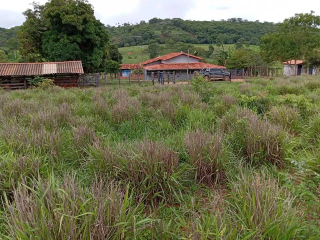 Imagem 13: Sitio 11 Hectares ,Caixa Dagua 50.000 Litros,Irrigação,Poco Proprio,Casa de Lage
