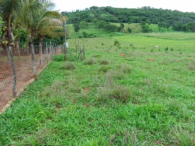 Imagem 4: Sitio 11 Hectares ,Caixa Dagua 50.000 Litros,Irrigação,Poco Proprio,Casa de Lage